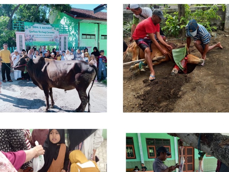 Foto Kegiatan 13